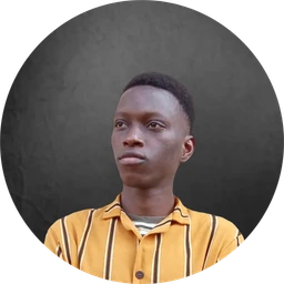 Aisosa Osamwonyi profile image