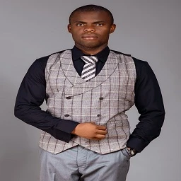 Stephen Ifeanyi profile image